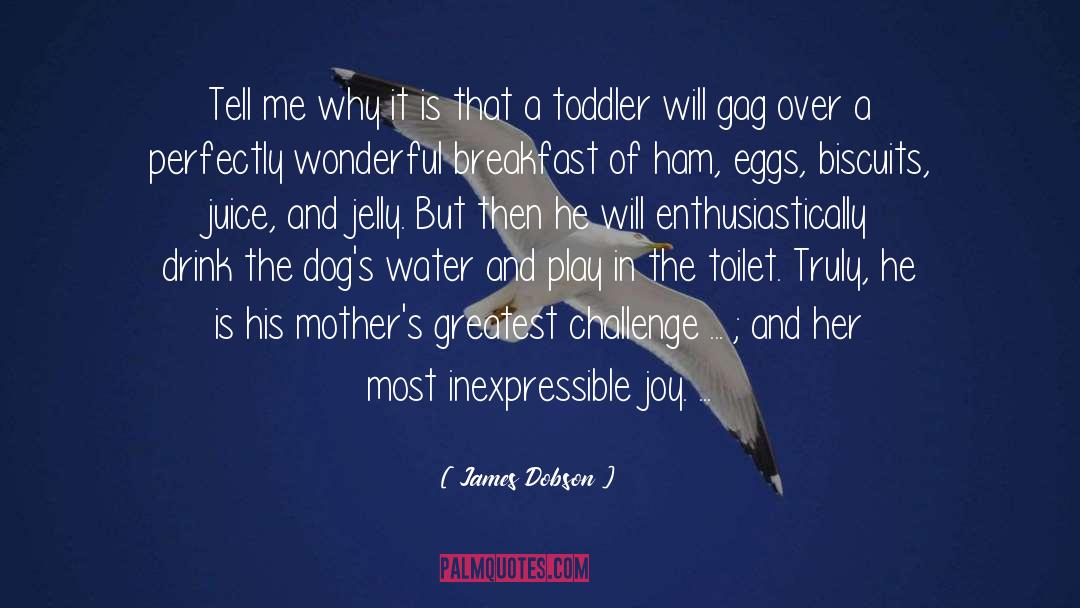 Duck Dogs quotes by James Dobson