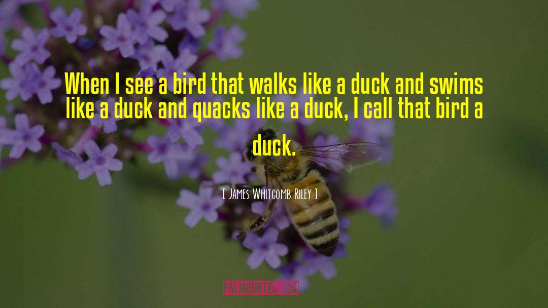 Duck quotes by James Whitcomb Riley