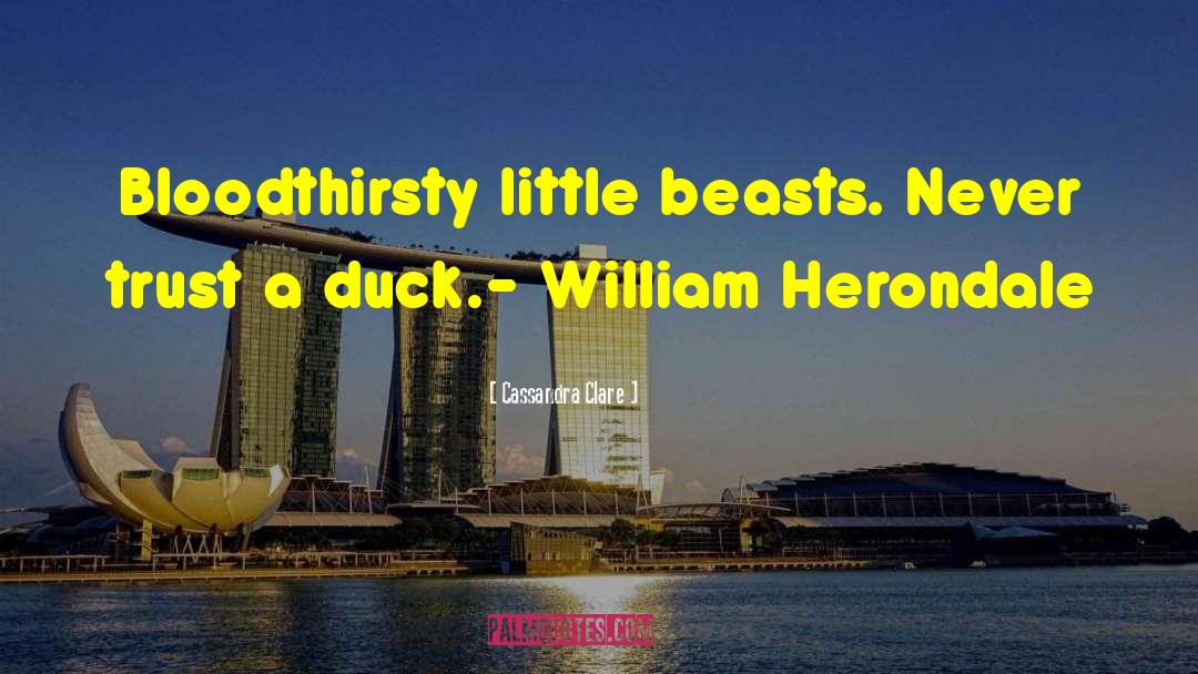 Ducks quotes by Cassandra Clare