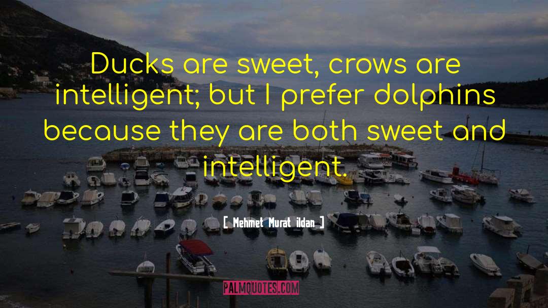 Ducks quotes by Mehmet Murat Ildan