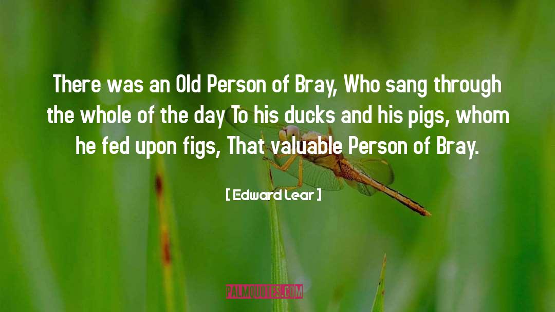 Ducks quotes by Edward Lear