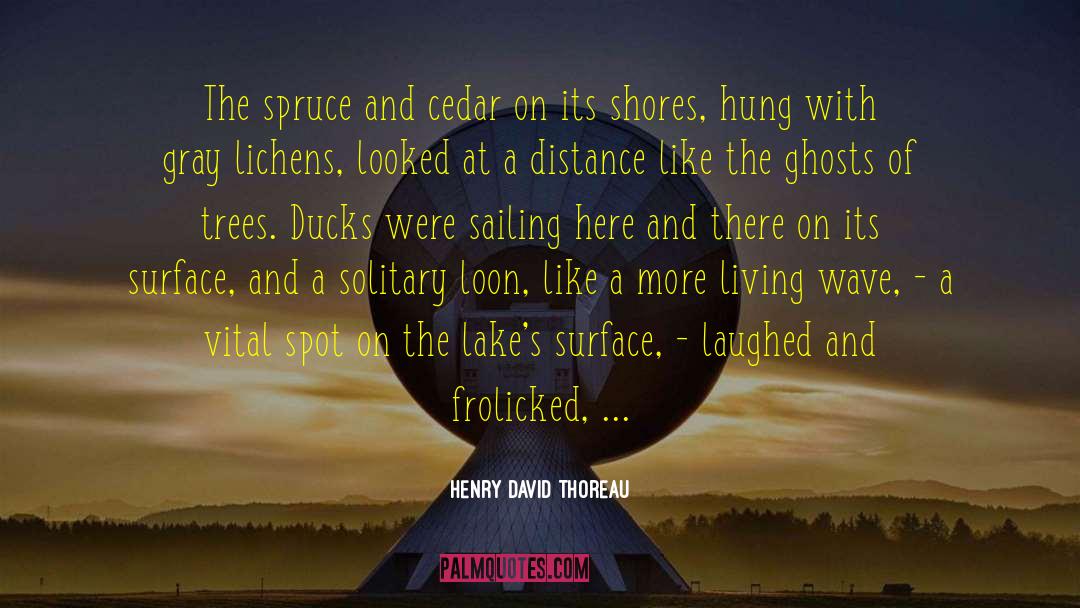 Ducks quotes by Henry David Thoreau