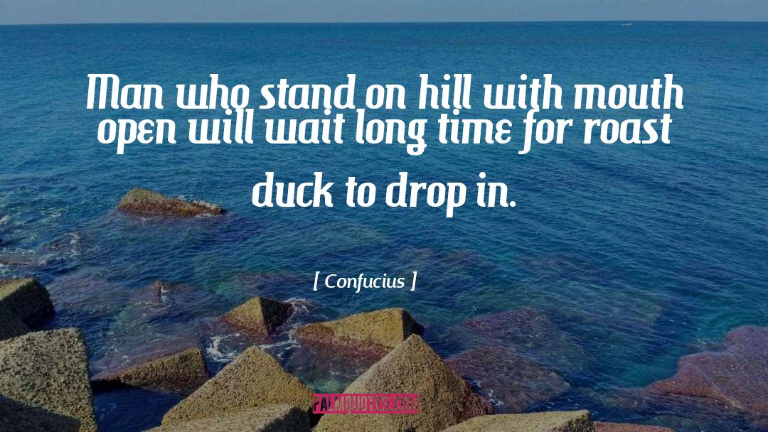 Ducks quotes by Confucius