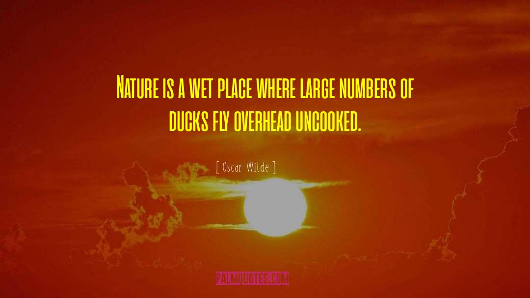 Ducks quotes by Oscar Wilde