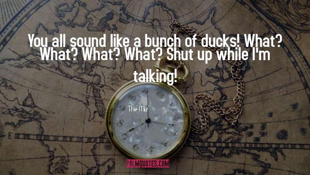 Ducks quotes by The Miz