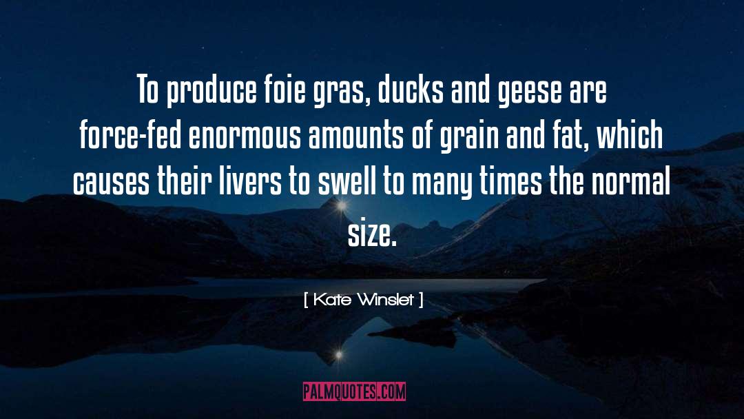 Ducks quotes by Kate Winslet