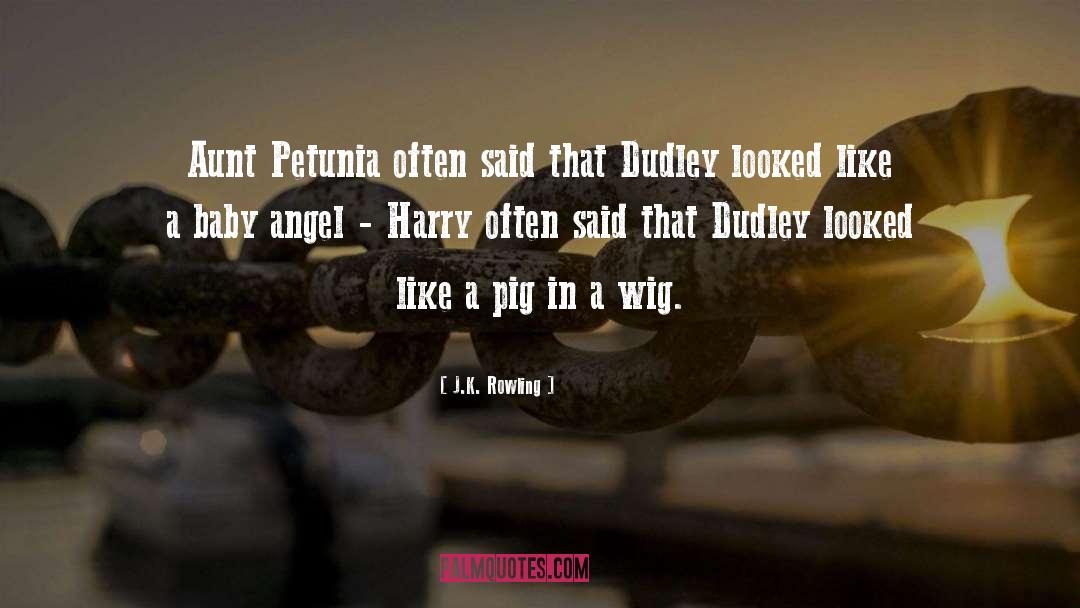 Dudley quotes by J.K. Rowling