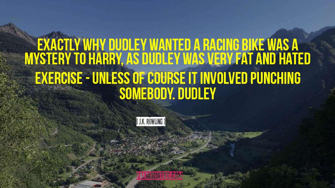 Dudley quotes by J.K. Rowling