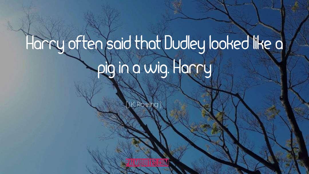 Dudley quotes by J.K. Rowling