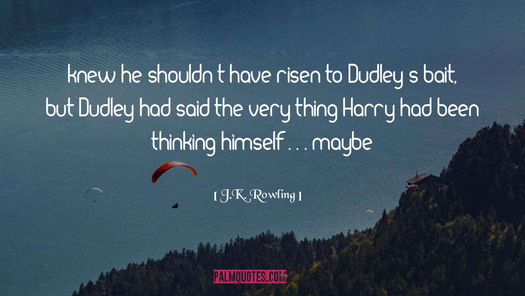 Dudley quotes by J.K. Rowling