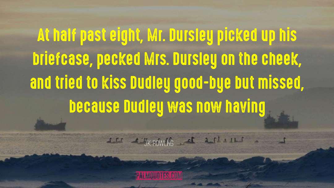 Dudley quotes by J.K. Rowling