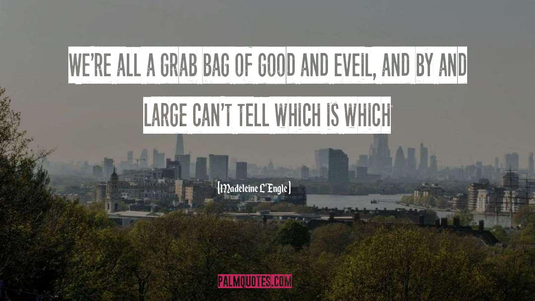Duffle Bag quotes by Madeleine L'Engle