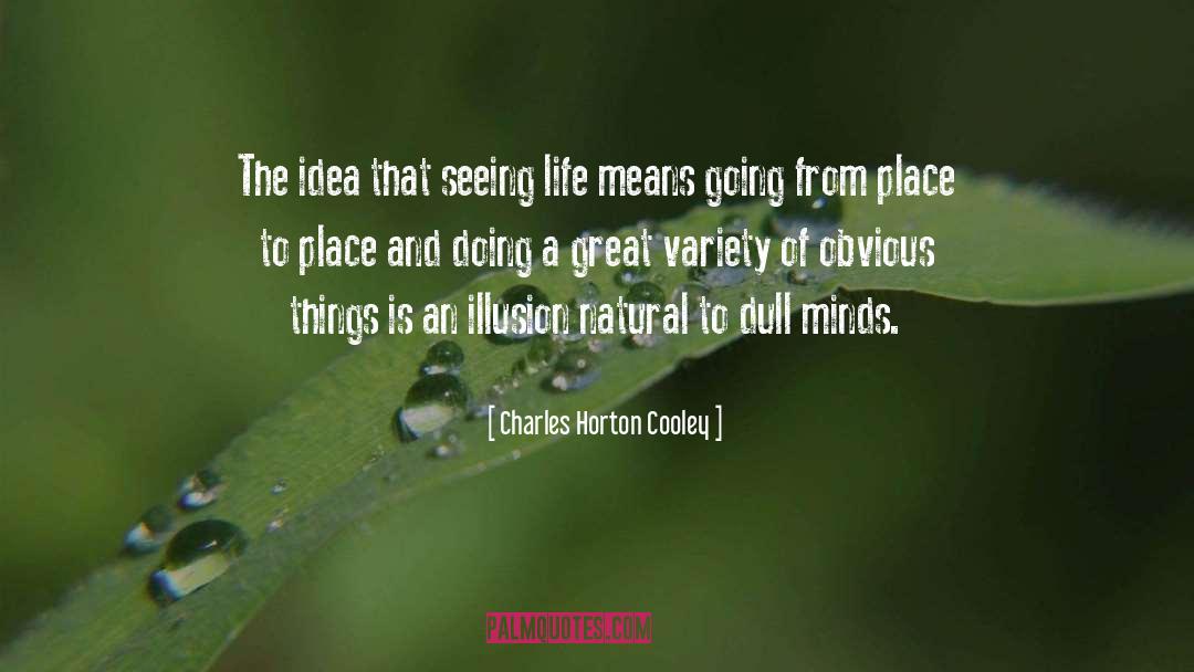 Dull Minds quotes by Charles Horton Cooley