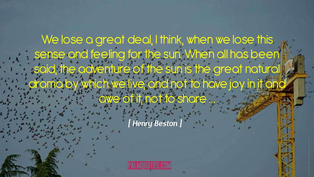 Dull Witted quotes by Henry Beston