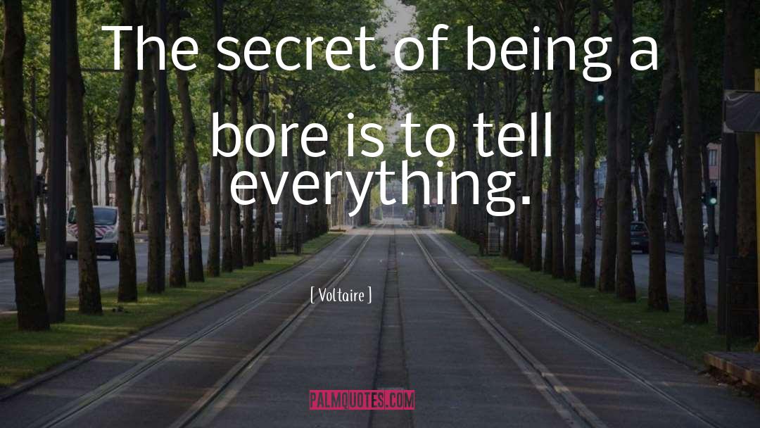Dullness quotes by Voltaire