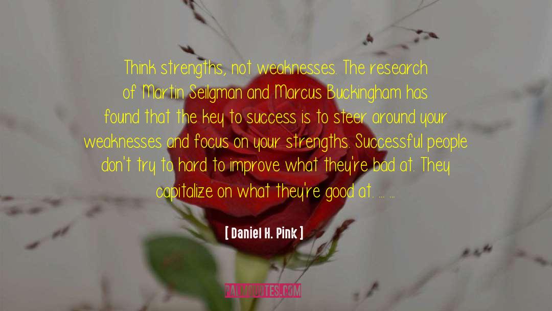 Duma Key quotes by Daniel H. Pink