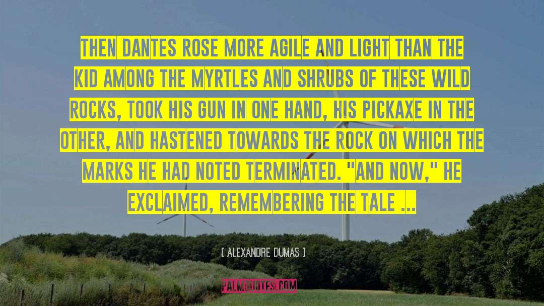 Dumas quotes by Alexandre Dumas