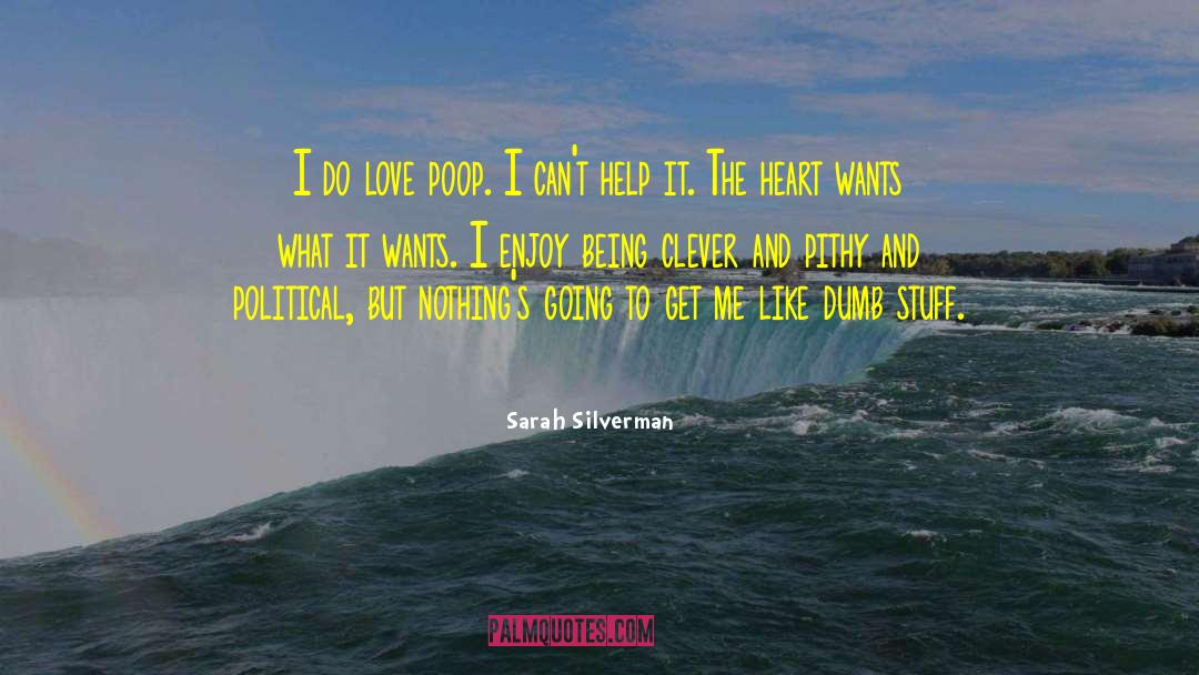 Dumb Stuff quotes by Sarah Silverman