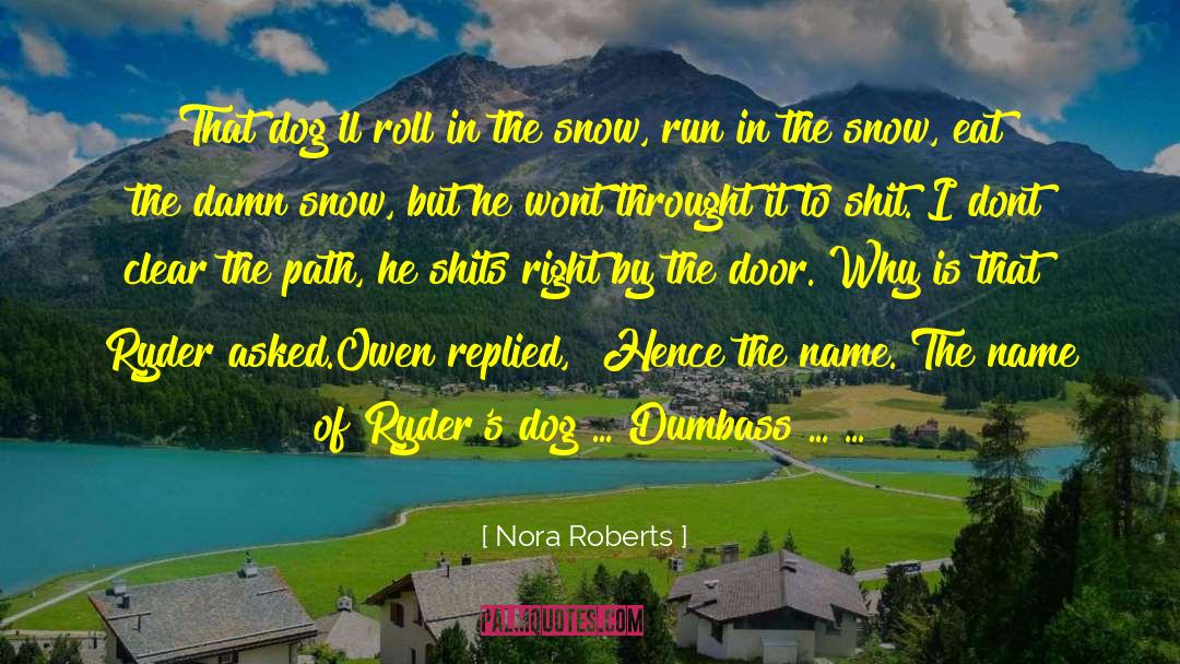 Dumbass quotes by Nora Roberts