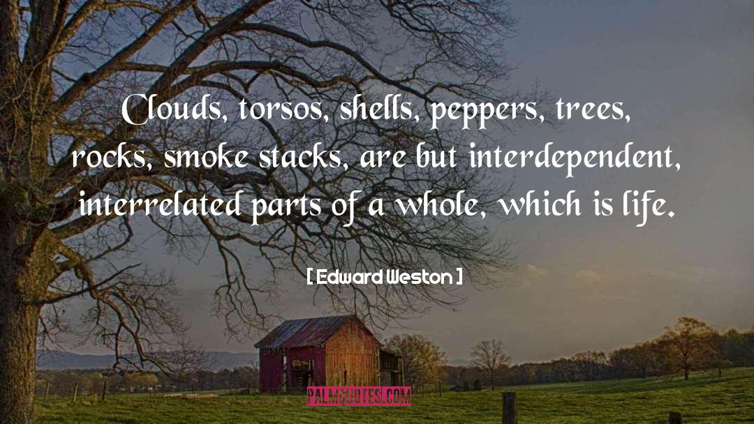 Dumber Than A Box Of Rocks quotes by Edward Weston