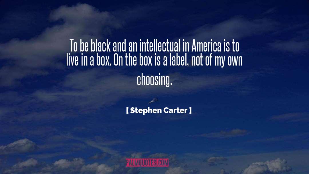 Dumber Than A Box Of Rocks quotes by Stephen Carter