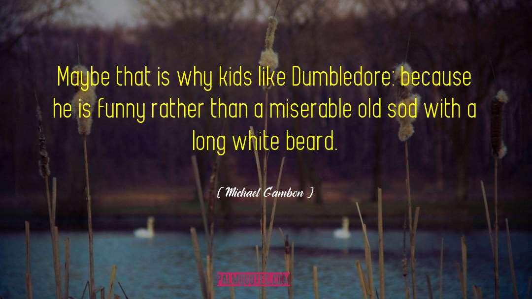 Dumbledore quotes by Michael Gambon