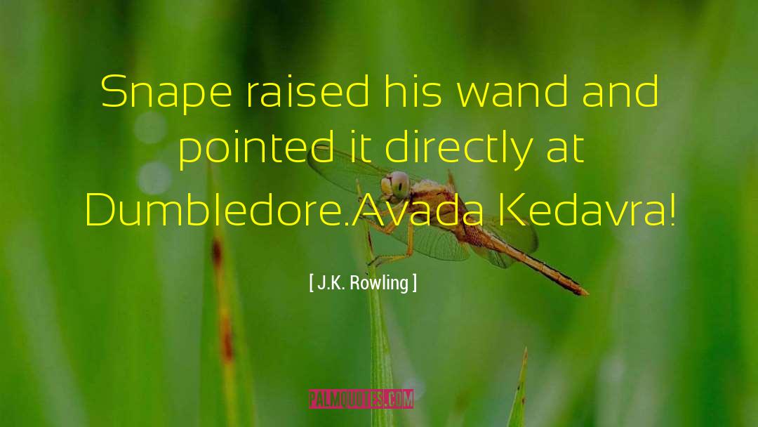 Dumbledore quotes by J.K. Rowling