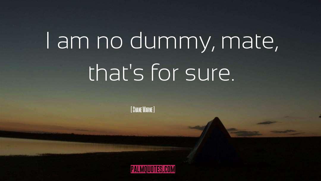 Dummy quotes by Shane Warne