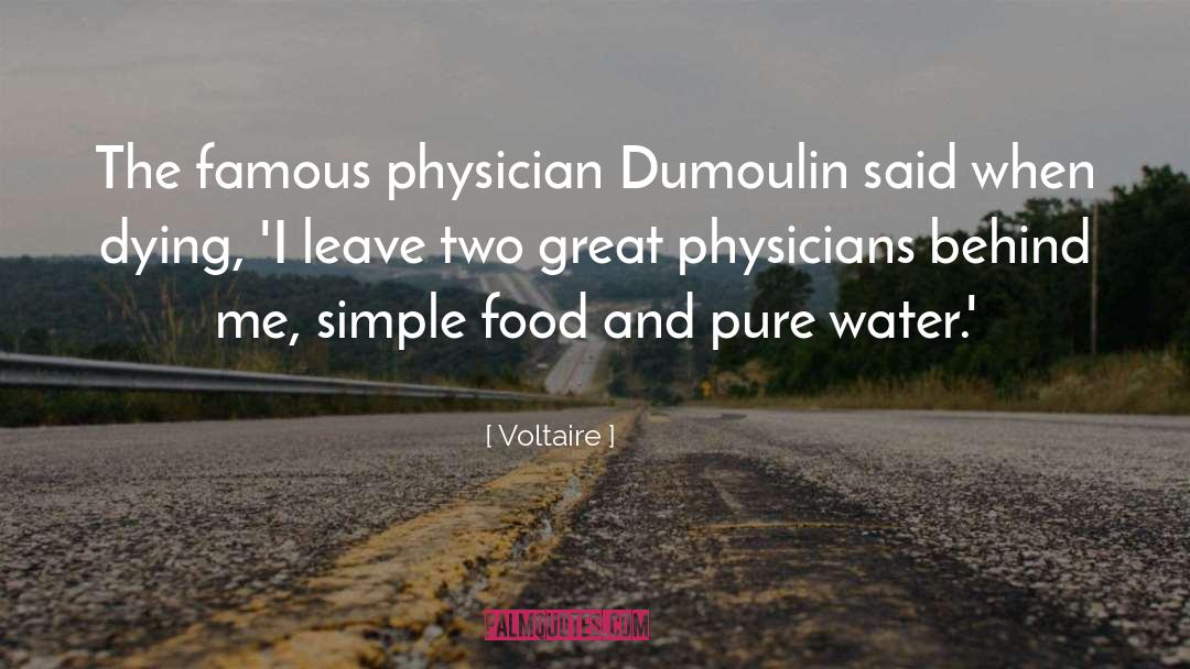 Dumoulin Bicyclettes quotes by Voltaire