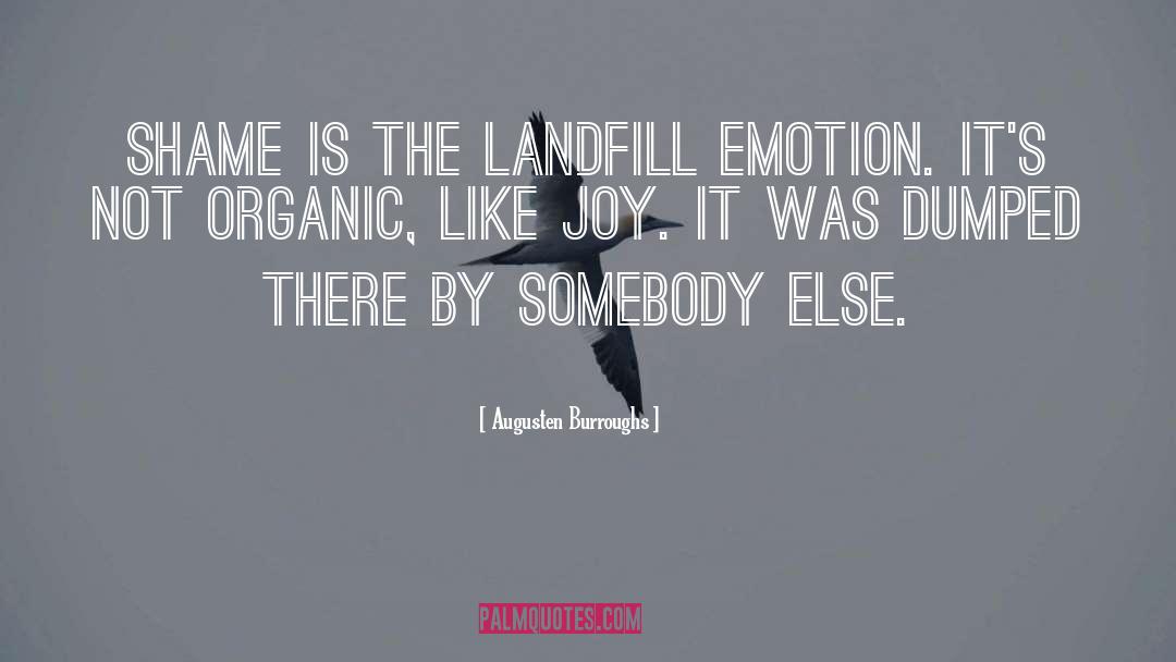 Dumped quotes by Augusten Burroughs