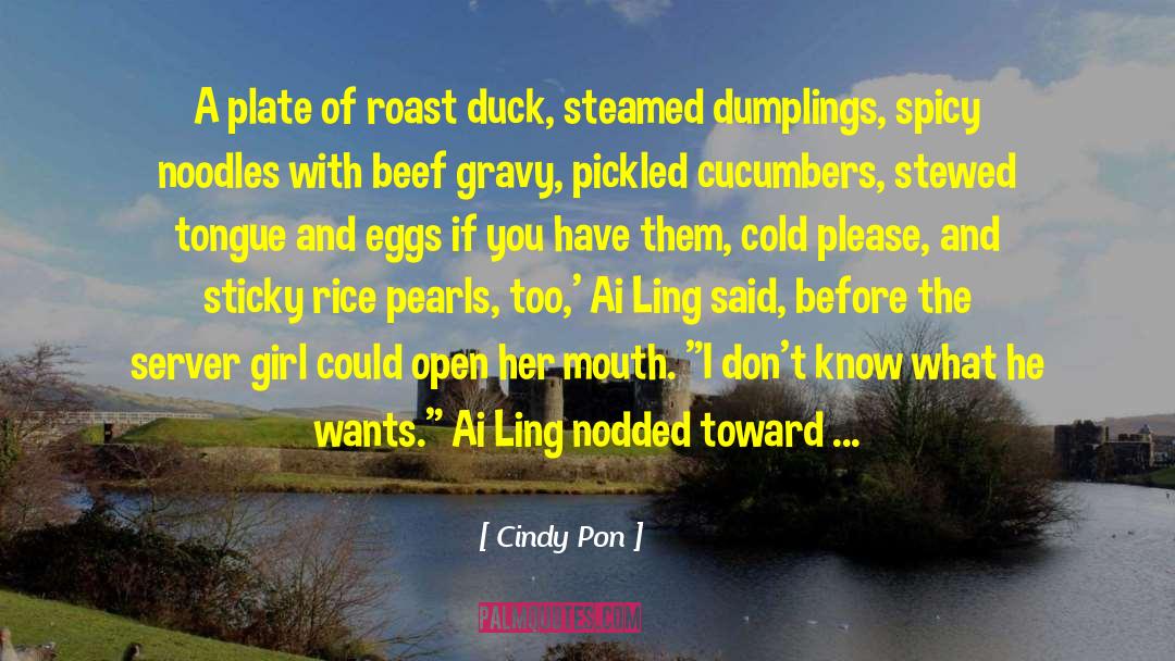 Dumplings quotes by Cindy Pon