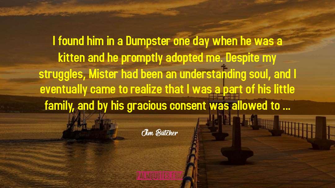 Dumpsters quotes by Jim Butcher