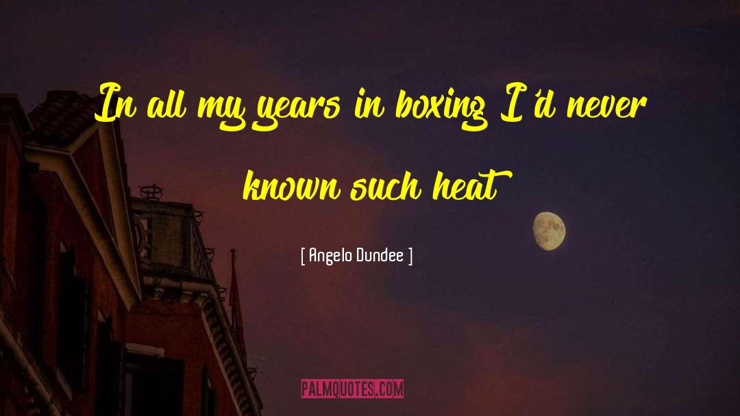 Dundee quotes by Angelo Dundee