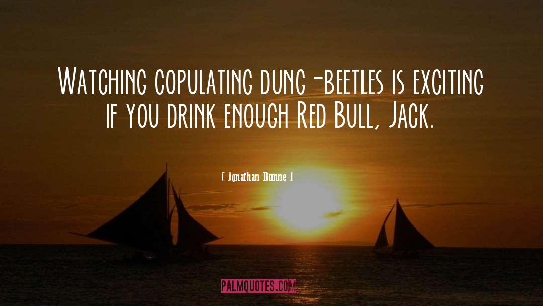 Dung Beetles quotes by Jonathan Dunne