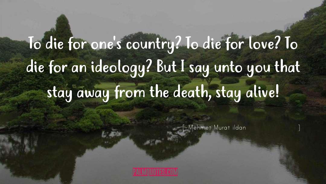 Dunroamin Country quotes by Mehmet Murat Ildan