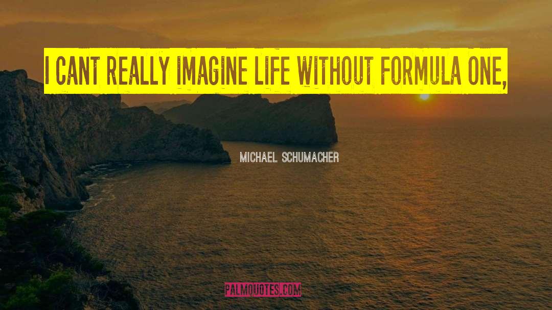 Dupires Formula quotes by Michael Schumacher