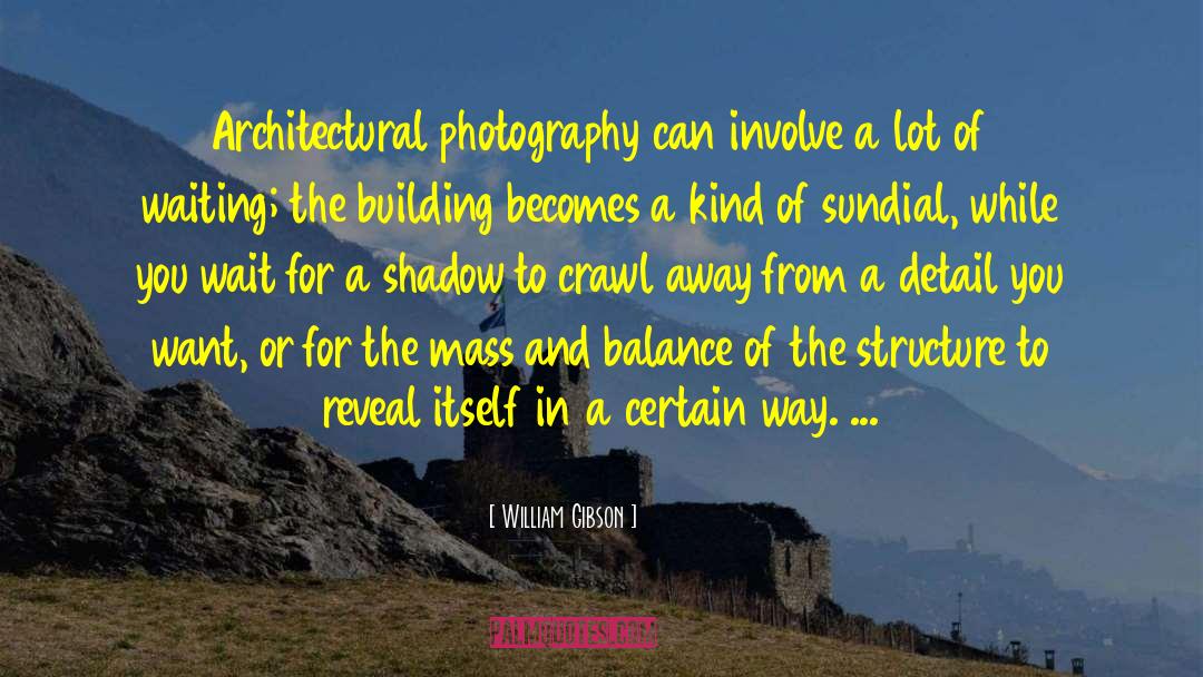 Duplay Photography quotes by William Gibson