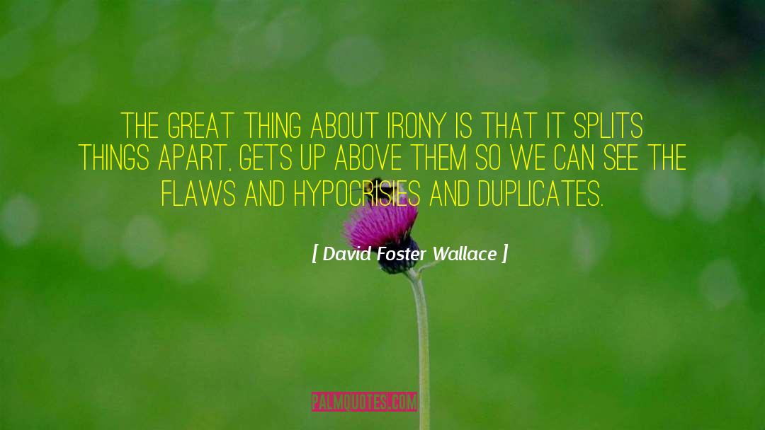 Duplicates quotes by David Foster Wallace
