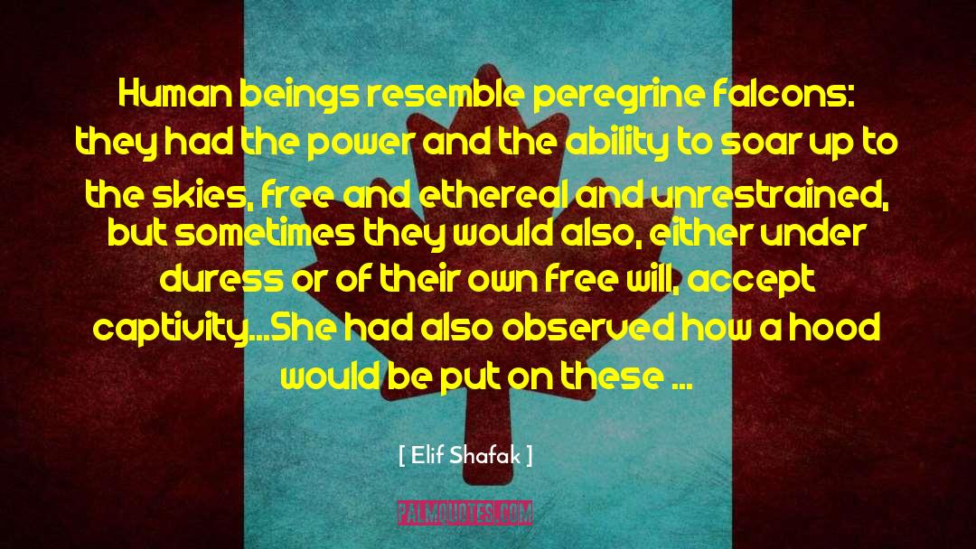 Duress quotes by Elif Shafak