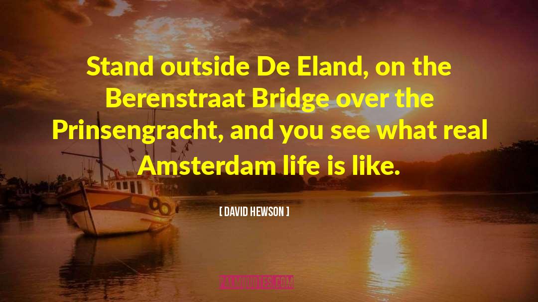 Durins Bridge quotes by David Hewson