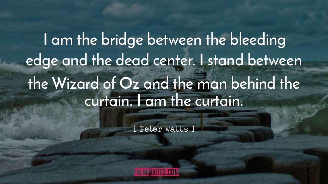 Durins Bridge quotes by Peter Watts
