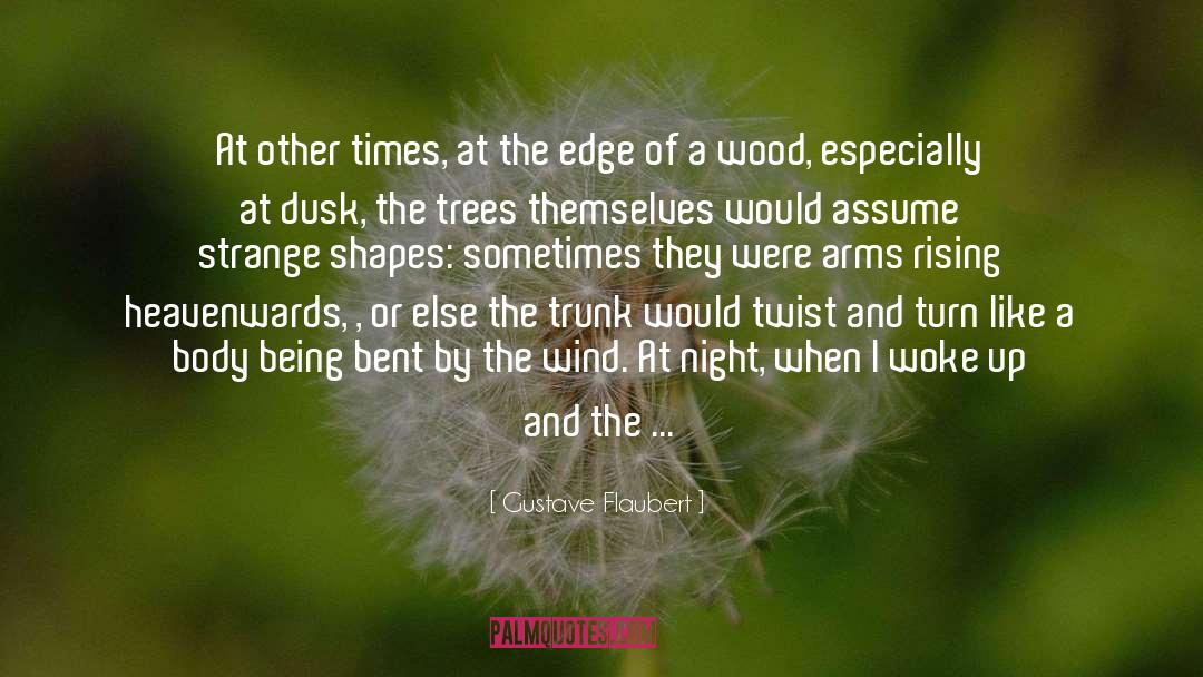 Dusk quotes by Gustave Flaubert