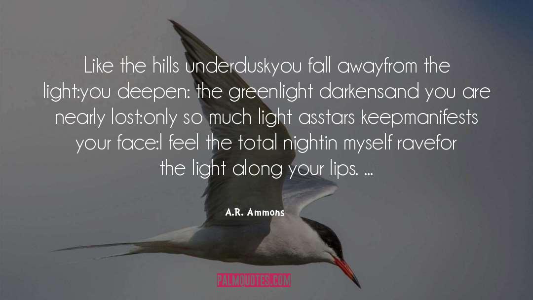 Dusk quotes by A.R. Ammons