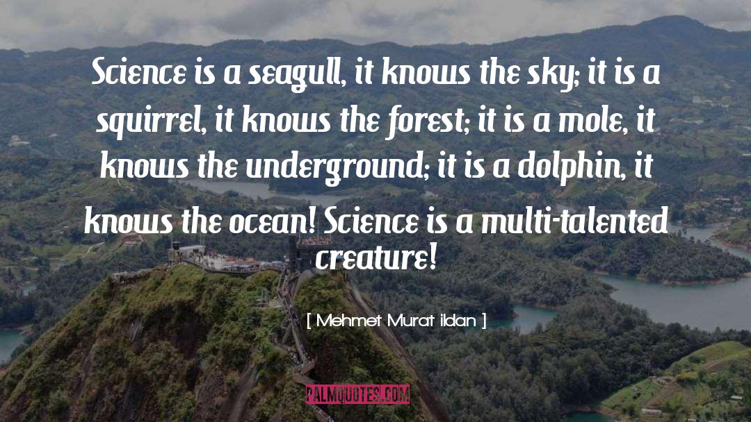 Dusky Dolphin quotes by Mehmet Murat Ildan