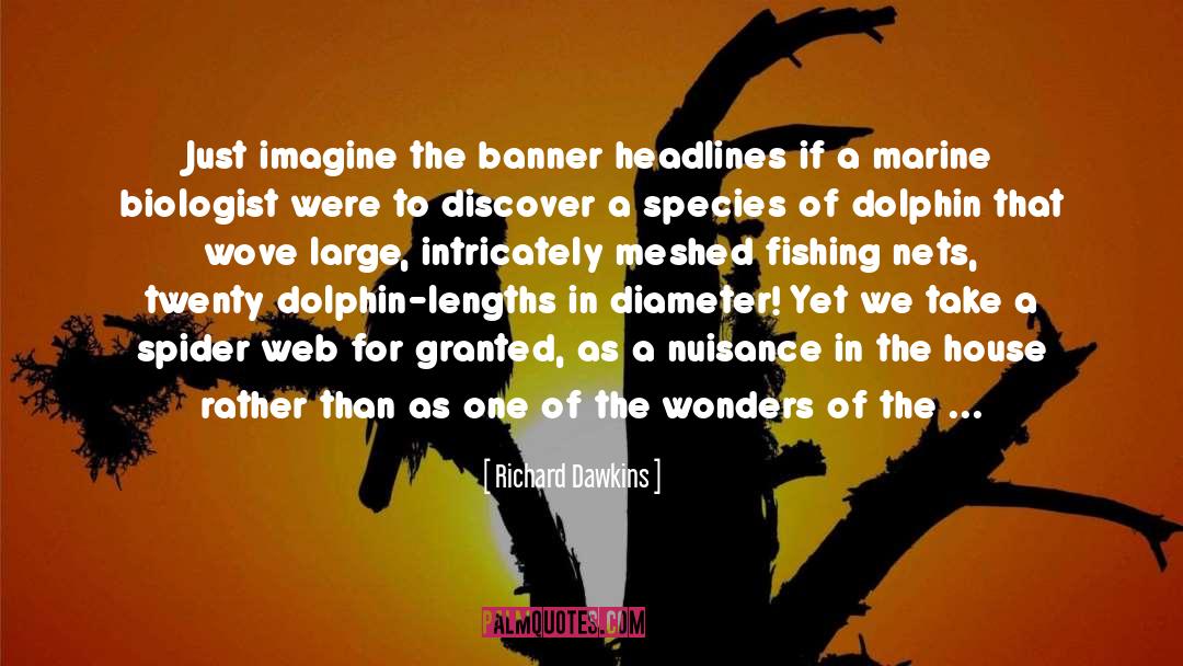 Dusky Dolphin quotes by Richard Dawkins