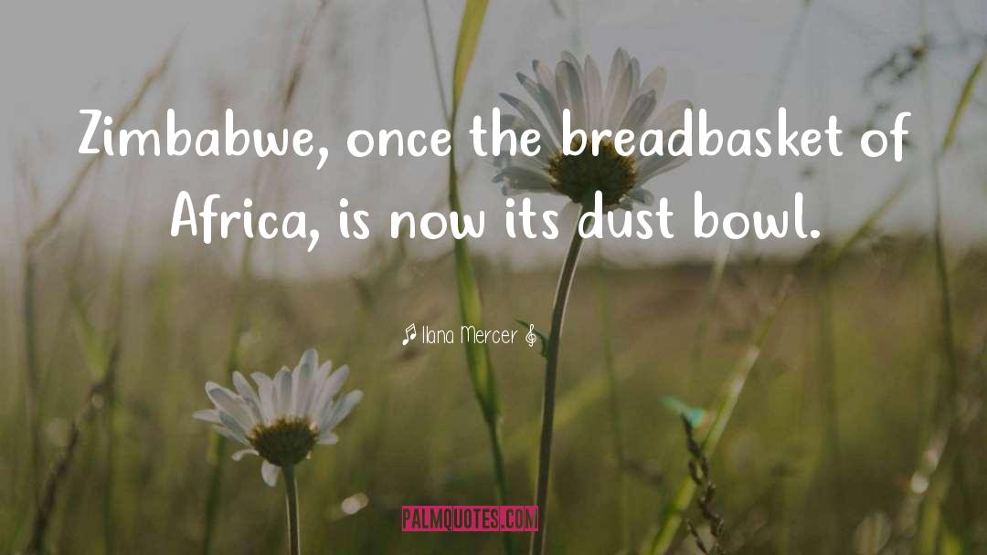 Dust Bowl quotes by Ilana Mercer