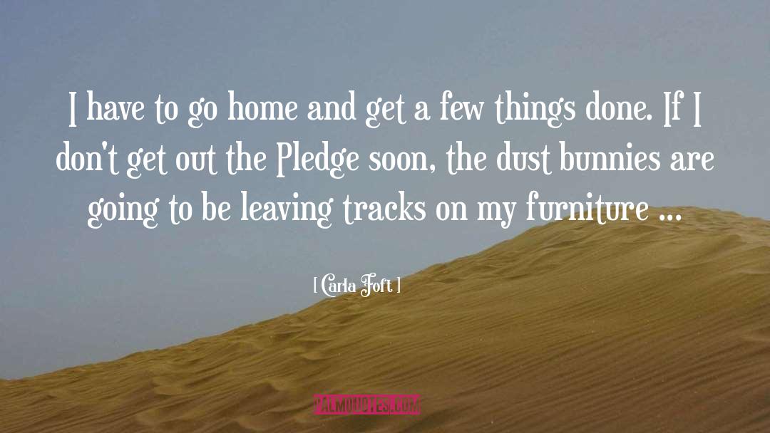 Dust Bunnies quotes by Carla Foft