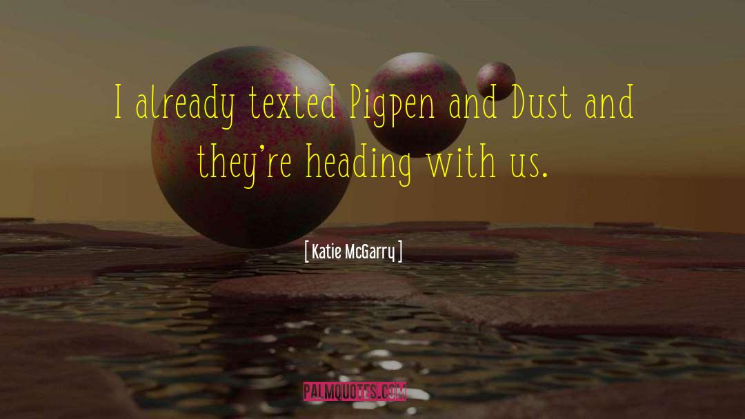 Dust Bunnies quotes by Katie McGarry