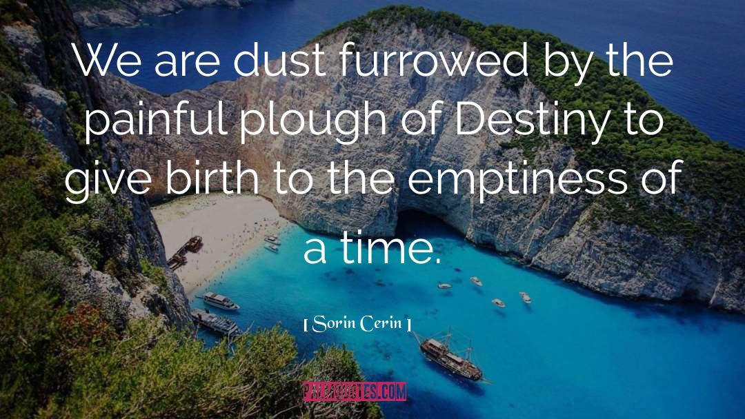 Dust quotes by Sorin Cerin