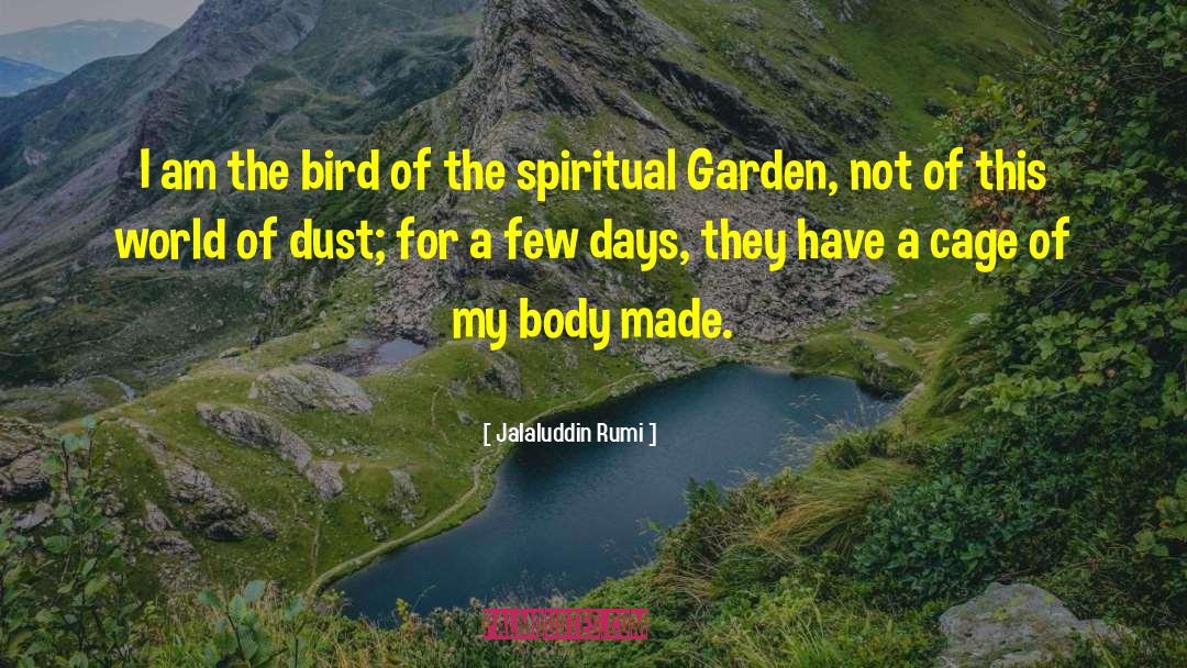 Dust The Rust quotes by Jalaluddin Rumi